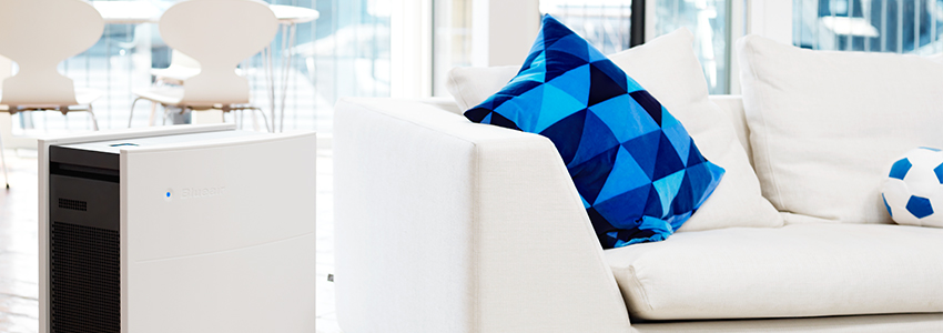 我家的小蓝活动进行中...