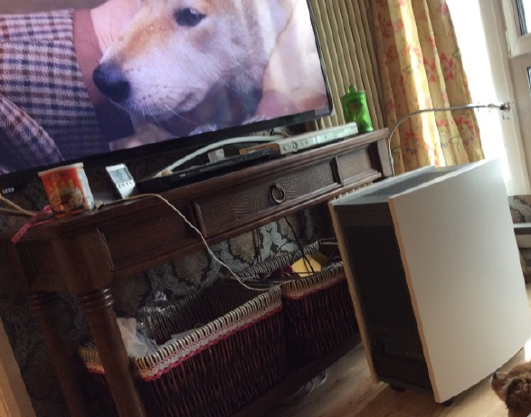 呼吸着blueair带来的纯净空气看着电影 