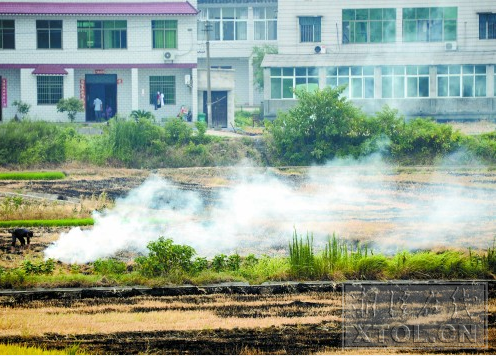 露天焚烧秸秆会造成大气污染,今后我市将加大整治力度。(记者 陈旭东 摄)